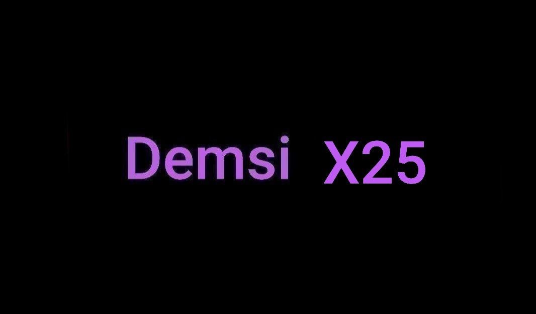 Demsi X25 - Y0uth Content