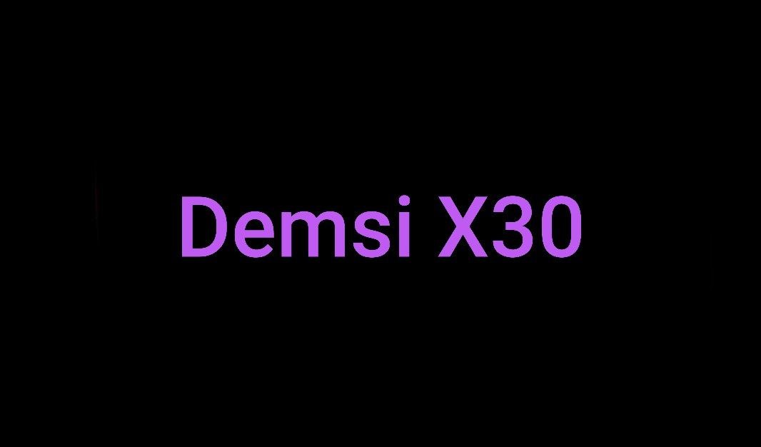 Demsi X30