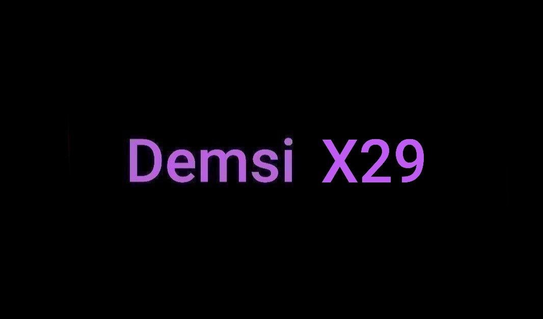 Demsi X29