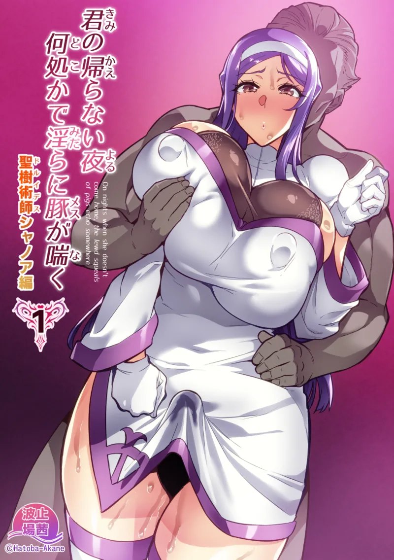 Kimi ga Kaeranai Yoru Dokoka de Midara ni Buta ga Aeku Ch. 1-4