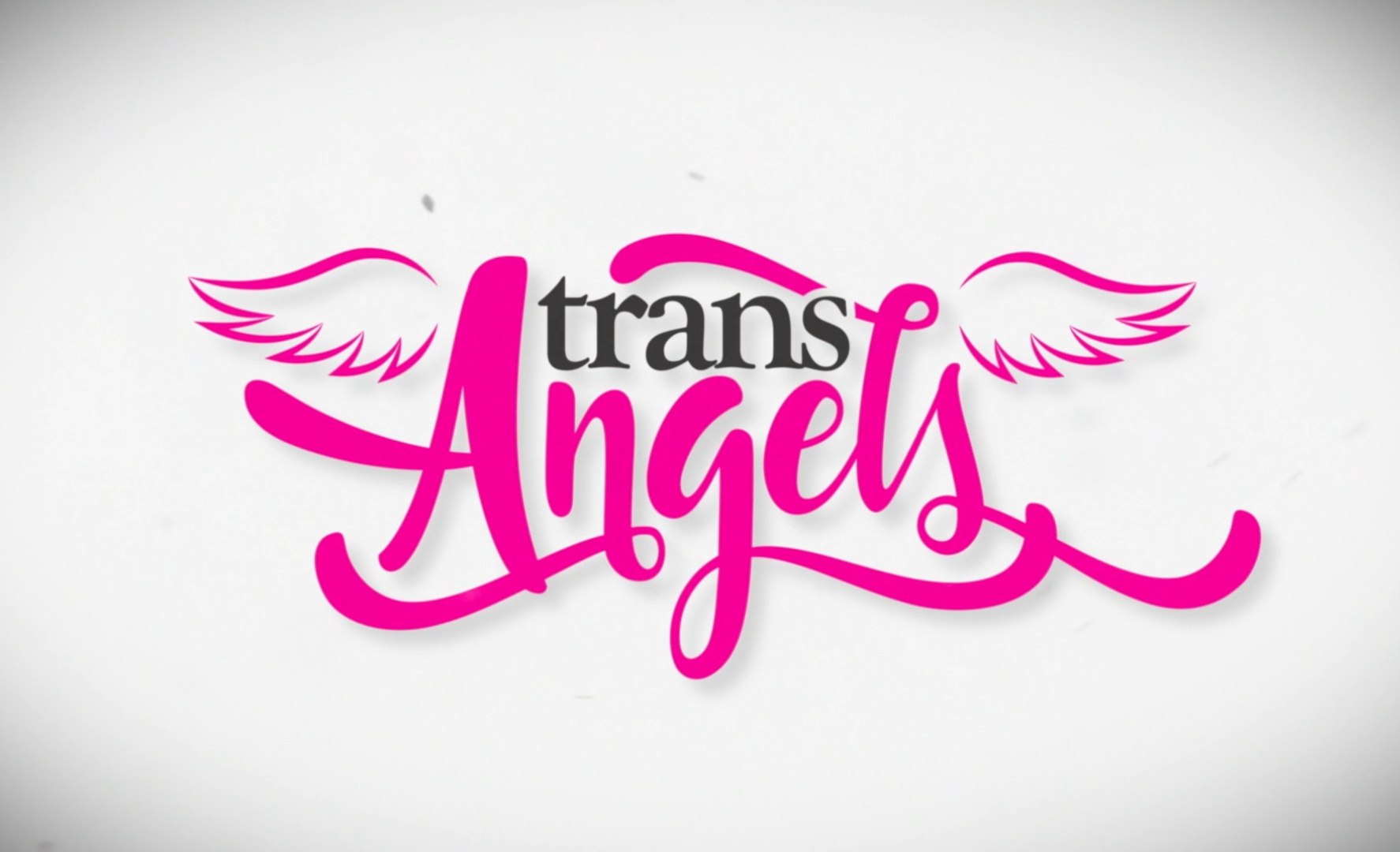 TransAngles Siterip